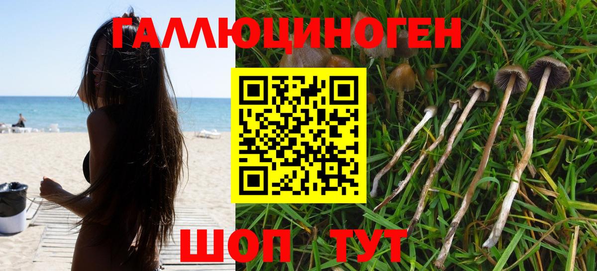 Псилоцибиновые грибы GOLDEN TEACHER  Жигулёвск  Псилоцибиновые грибы MAGIC MUSHROOMS 