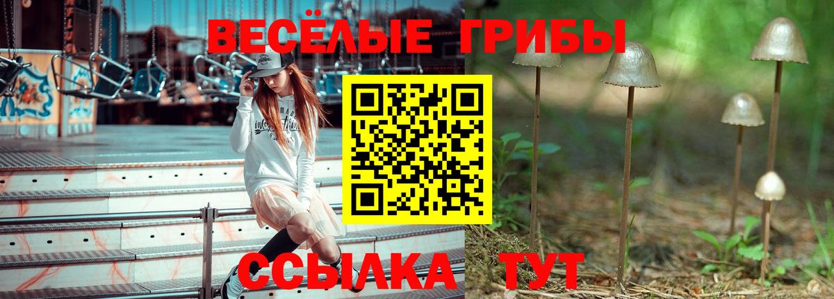 Жигулёвск  Псилоцибиновые грибы Magic Shrooms  Вход с VPN 