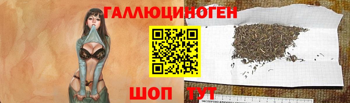 Псилоцибиновые грибы Magic Shrooms Жигулёвск